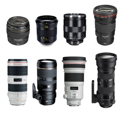 Best Telephoto Lenses For Canon Dslrs Camera News At Cameraegg
