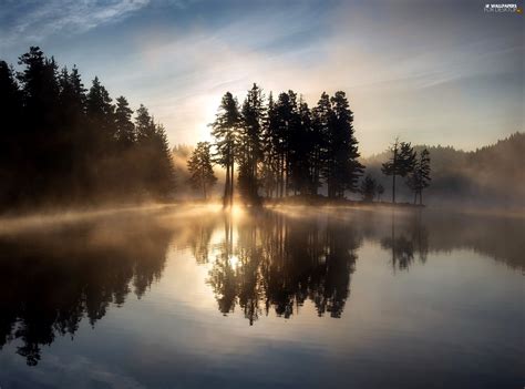 Viewes Lake Reflection Sunrise Fog Trees For Desktop Wallpapers 2048x1518