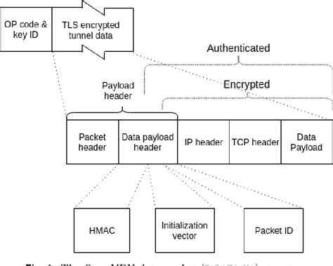 Figure From Protocol State Fuzzing Of An Openvpn Semantic Scholar