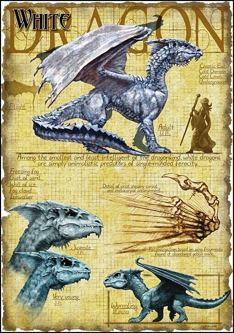 Pin On Dragons