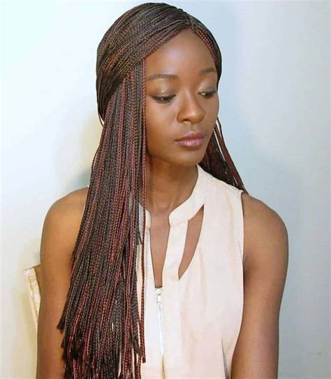 10 Micro Crochet Braids For Fashionable African American Women Hair Braiding Styles Explore