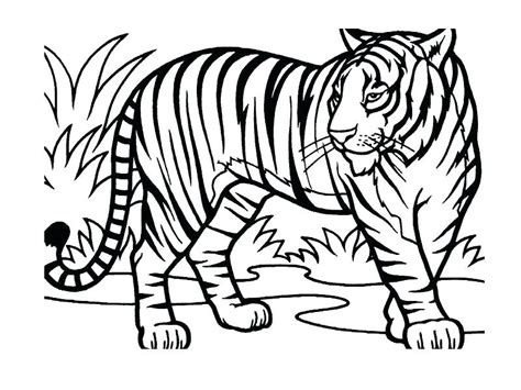 We have compiled for you a large collection of images with different animals. Jungle Themed Coloring Pages at GetColorings.com | Free ...