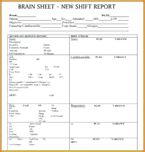 Nursing Assistant Report Sheet Templates 6 Templates Example
