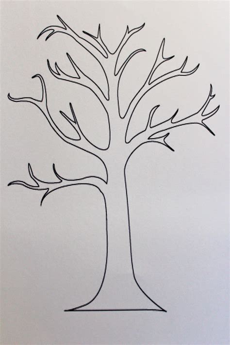 leafless tree outline printable   clip