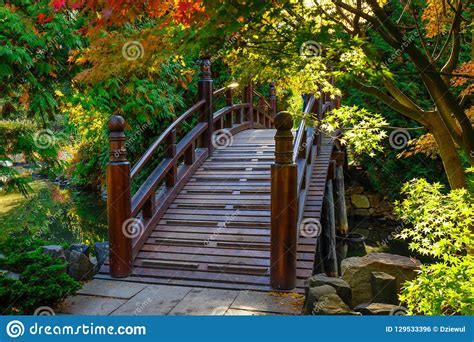 Beautiful Japanese Garden With Bridge Stock Photo Image Of