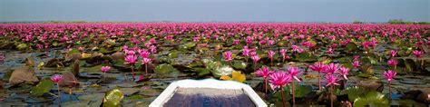 Information On Red Lotus Sea Or Talay Buadaeng Udon Thani