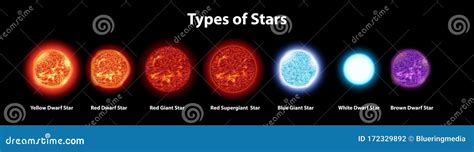 Diagrama Que Muestra Diferentes Tipos De Estrellas Ilustraci N Del Vector Ilustraci N De Cielo