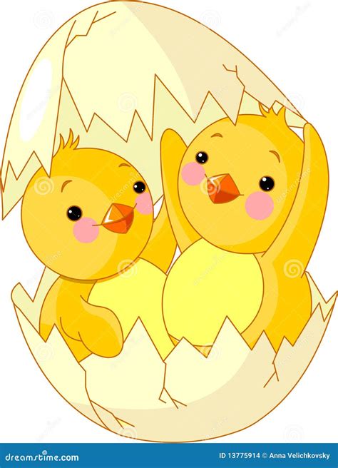 Two Chickens Hatched From Egg Stock Vector Illustration Of Bird