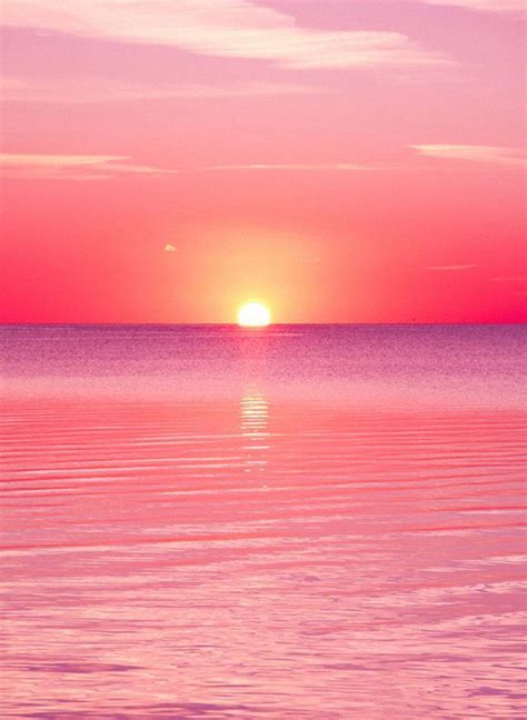 Hd Pink Sunset Wallpaper Free Download MyWeb