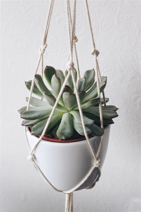 Décoration pour vos plantes vertes. DIY - Suspension macramé pour plante - Moodfeather