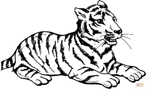 Desenhos Para Colorir De Tigres