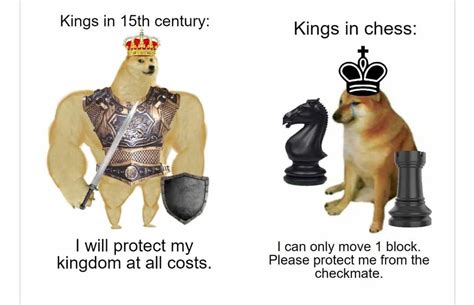 35 Of The Best Swole Doge And Cheems Memes We Had Time To Find Nông