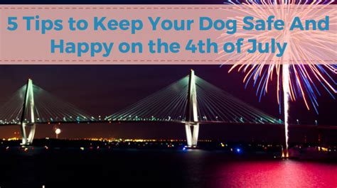 5 Tips To Keep Your Dog Safe And Happy On The 4th Of July