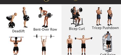 Compound Exercises The Best Strength Training And Fat Burning