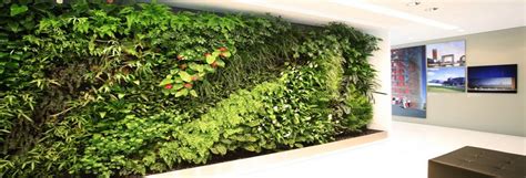 Natural Green Wall Living Walls Plants Biophilic Design