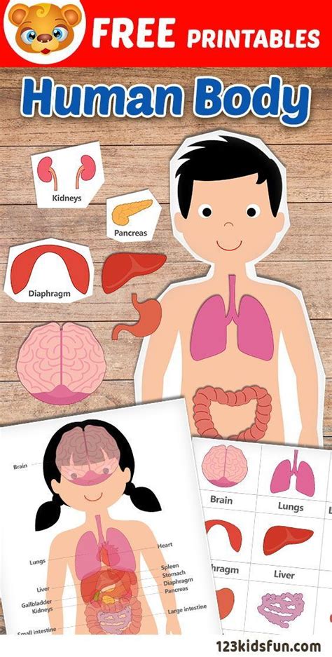 Free Human Body Printables For Kids Teach Your Kids About Their Bodies