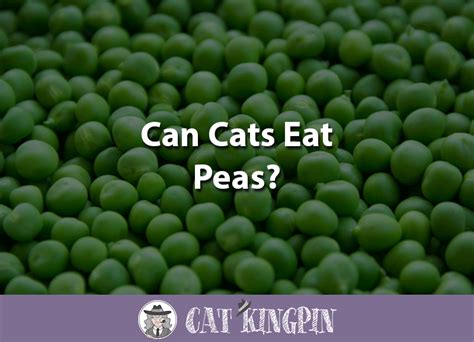 Sweet potatoes or sweet potatoes. Can Cats Eat Peas? - Cat Kingpin