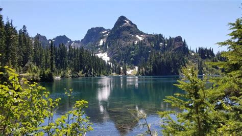 Free Picture Conifers Lakeside Panorama Mountain Water Landscape