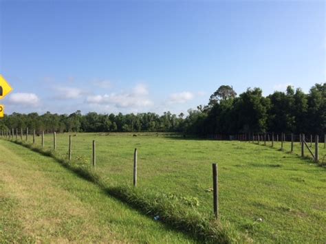 Choose frequency and type of email alerts you want to receive for: 4300 Kathleen Rd, Lakeland, FL 33810 - Land For Sale ...