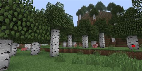 Minecraft 10 Best Biomes For Survival Game Rant