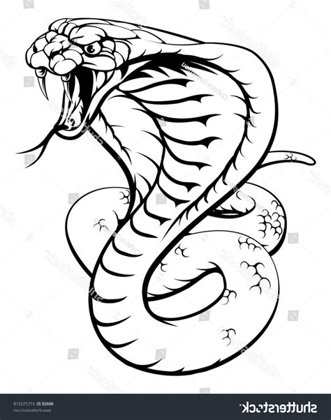 Cobra Snake Clipart Black And White Free Cobra Cliparts Black