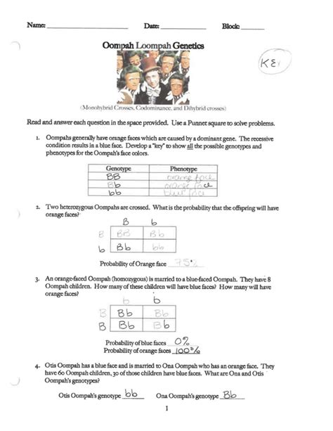 Show punnett square, give genotype and phenotype for each on your own paper!! Worksheet Dihybrid Crosses Unit 3 Genetics - Nidecmege