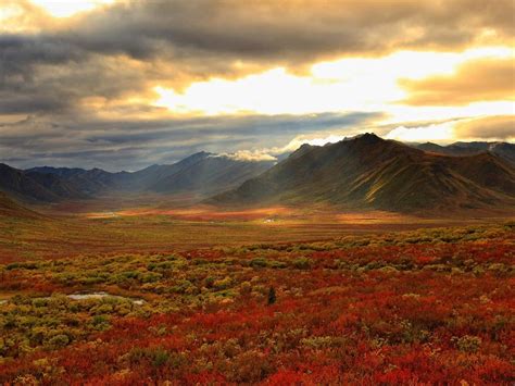 Yukon Colours Bing Wallpaper Download