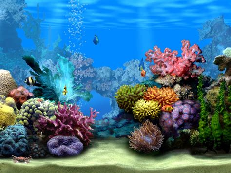 Living Marine Aquarium Download