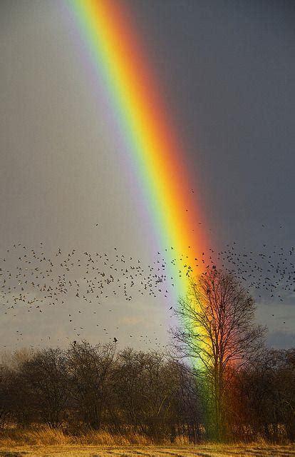 Rainbow — man on the silver mountain (ritchie blackmore's rainbow 1975). RainBow Camera - Perfect overlay Sticker for Android - APK ...