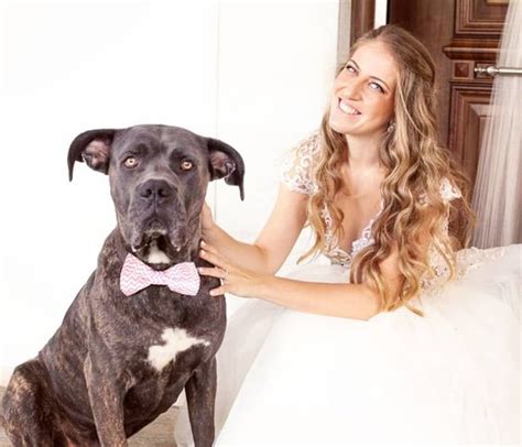 9 Reasons You Should Date Someone With A Cane Corso Sonderlives