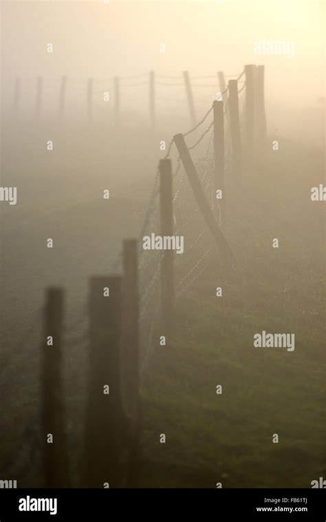 Fence Disappearing Into The Mist Hi Res Stock Photography And Images