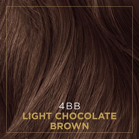 Clairol Professional 4bb Light Chocolate Brown Permanent Crème Hair