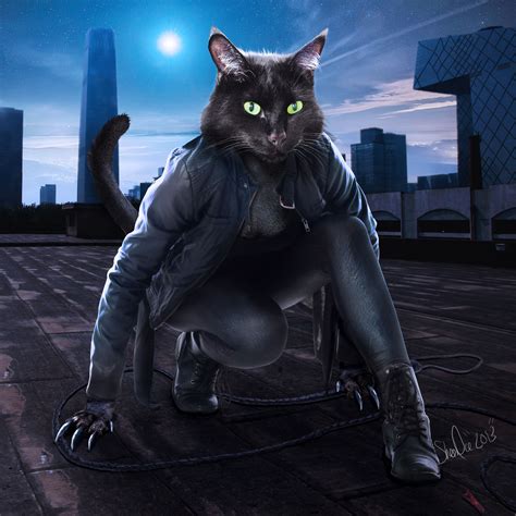 Image Manipulation Photoshop Fairy Tale Character Catwoman