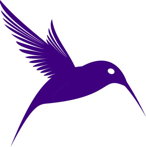Chim Ruồi Hình Bóng Bay Miễn Phí Vector Hình ảnh Trên Pixabay