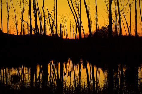 Sunset Photograph By Damien Gilbert Fine Art America