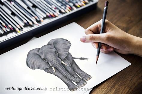 Desene in creion cute pas cu pas. Desene in creion cu animale - Elefant - Tutorial desen pas ...