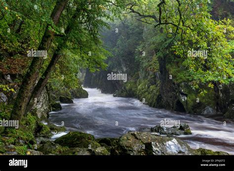 Fairy Glen Gorge River Conwy Near Betws Y Coed Snowdonia National