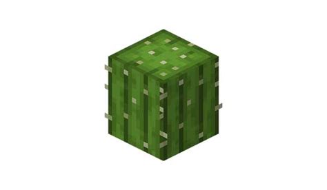 Cactus Minecraft Minecrafteo