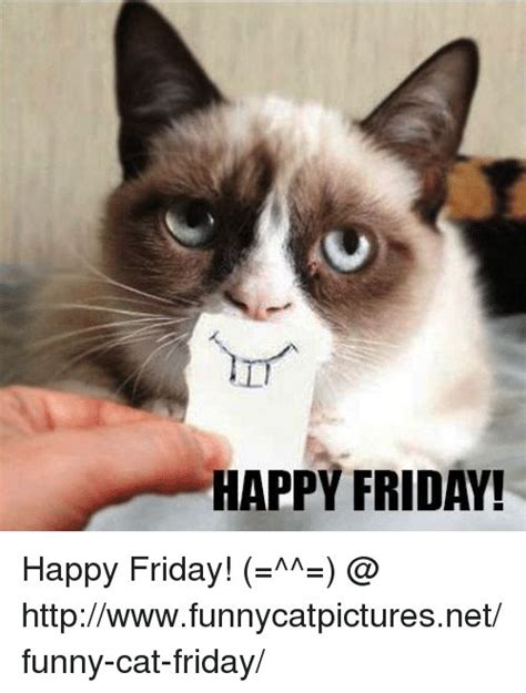 Friday Cat Meme Funny