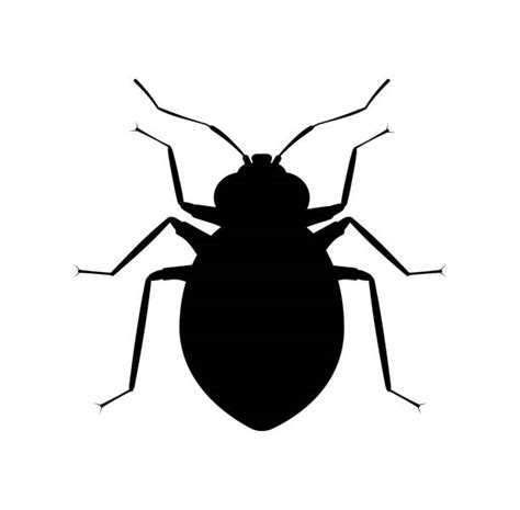 Bed Bug Bites Illustrations Royalty Free Vector Graphics