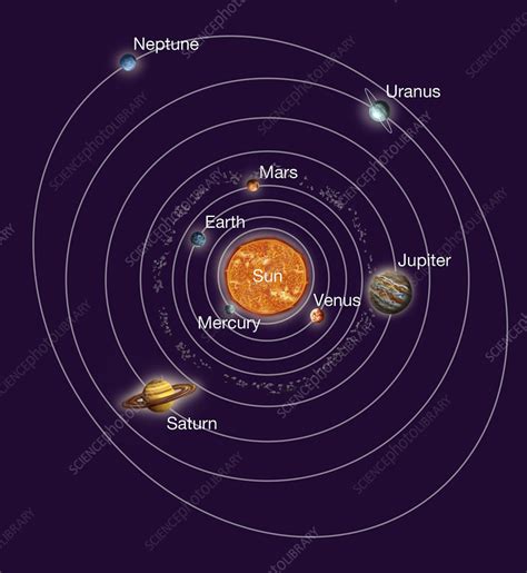 Solar System Orbits Illustration Stock Image C029 5793 Science