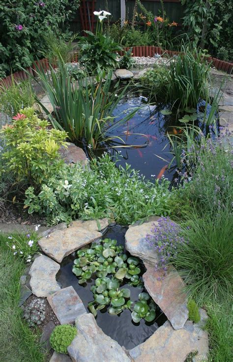 Ponds And Water Features Artofit