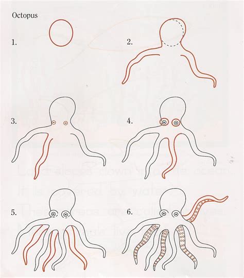 Simple Octopus Drawing For Kids Images And Pictures Becuo