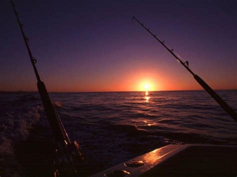 Free Download Fishing Wallpaper 1024x768 For Your Desktop Mobile