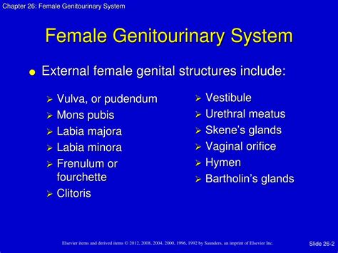 Ppt Female Genitourinary System Powerpoint Presentation Free