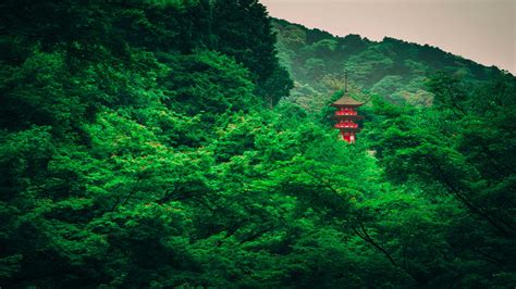 Landscape View Of Pagoda Surrounded By Trees Bushes Forest Greenery