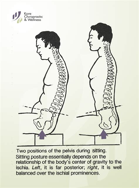 Rolling Forward Onto The Sit Bones Helps To Bring The Body Into Balance While Sitting Two