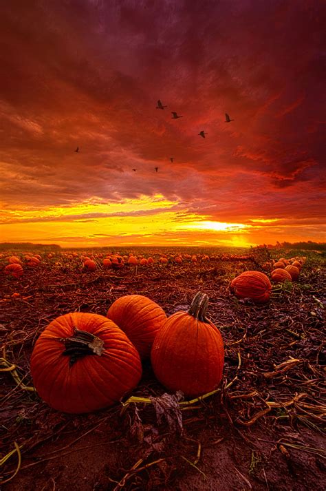 Autumn Falls By Phil Koch Photo 124953825 500px