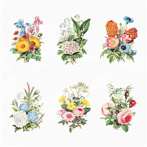 Download Premium Vector Of Vintage Flowers Bouquet Collection Vector