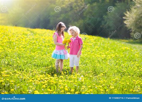 Kids Play Child In Dandelion Field Summer Flower Stock Photo Image